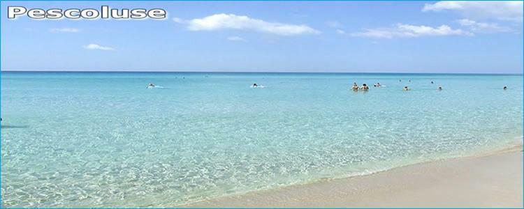 Le Dimore Di Luciana Marina Di Pescoluse Kültér fotó